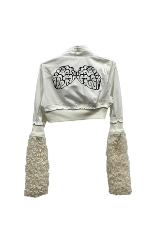 Cropped Fur Sleeve Jacket